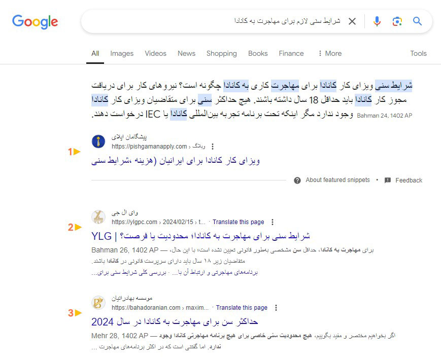 سرچ کوئری اینفورمیشنال در صفحه نتایج