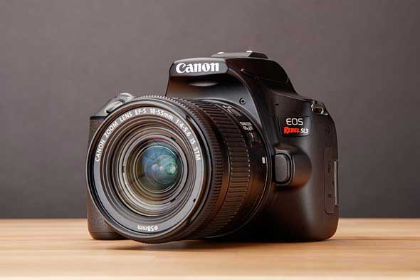 نمونه دوربین DSLR به عنوان یکی از اصلی ترین تجهیزات مناسب یوتیوب